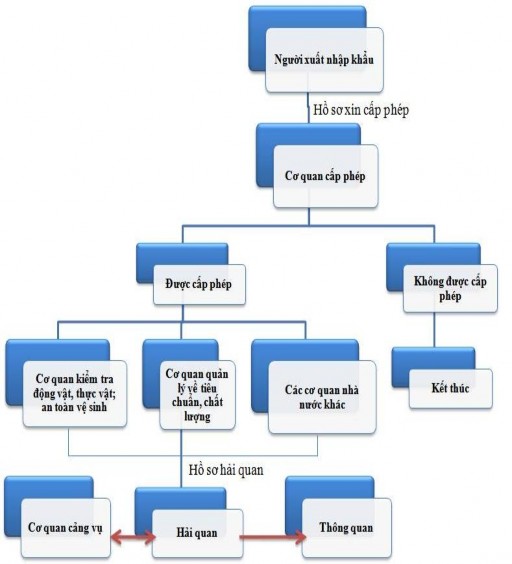 Nguồn Kế hoạch tổng thể triển khai cơ chế một cửa quốc gia Về hoạt động 1
