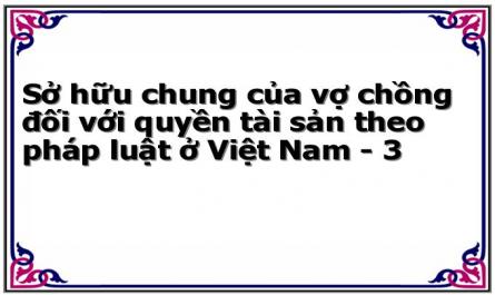 Sở hữu chung của vợ chồng đối với quyền tài sản theo pháp luật ở Việt Nam - 3