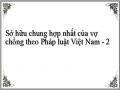 Sở hữu chung hợp nhất của vợ chồng theo Pháp luật Việt Nam - 2