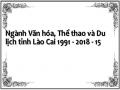 Ngành Văn hóa, Thể thao và Du lịch tỉnh Lào Cai 1991 - 2018 - 15