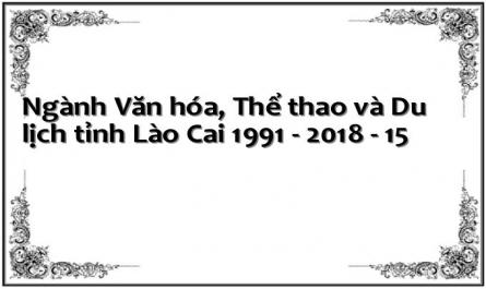 Ngành Văn hóa, Thể thao và Du lịch tỉnh Lào Cai 1991 - 2018 - 15