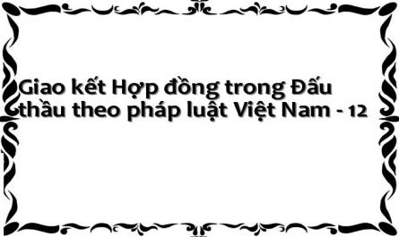 Giao kết Hợp đồng trong Đấu thầu theo pháp luật Việt Nam - 12