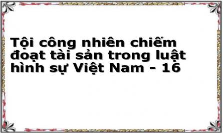 Tội công nhiên chiếm đoạt tài sản trong luật hình sự Việt Nam - 16