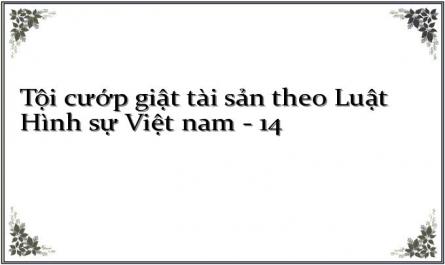Tội cướp giật tài sản theo Luật Hình sự Việt nam - 14