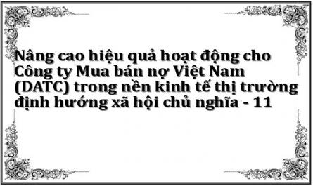 Nâng cao hiệu quả hoạt động cho Công ty Mua bán nợ Việt Nam (DATC) trong nền kinh tế thị trường định hướng xã hội chủ nghĩa - 11