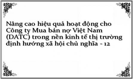 Nâng cao hiệu quả hoạt động cho Công ty Mua bán nợ Việt Nam (DATC) trong nền kinh tế thị trường định hướng xã hội chủ nghĩa - 12