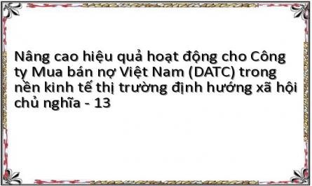 Nâng cao hiệu quả hoạt động cho Công ty Mua bán nợ Việt Nam (DATC) trong nền kinh tế thị trường định hướng xã hội chủ nghĩa - 13