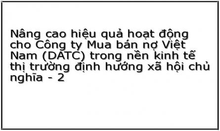 Nâng cao hiệu quả hoạt động cho Công ty Mua bán nợ Việt Nam (DATC) trong nền kinh tế thị trường định hướng xã hội chủ nghĩa - 2