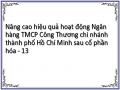Nâng cao hiệu quả hoạt động Ngân hàng TMCP Công Thương chi nhánh thành phố Hồ Chí Minh sau cổ phần hóa - 13