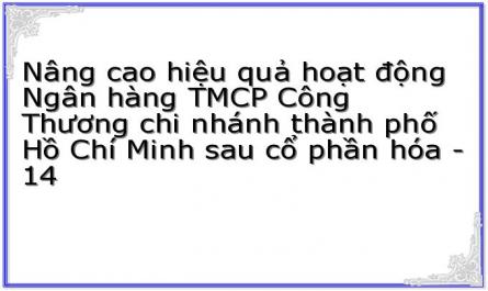 Nâng cao hiệu quả hoạt động Ngân hàng TMCP Công Thương chi nhánh thành phố Hồ Chí Minh sau cổ phần hóa - 14