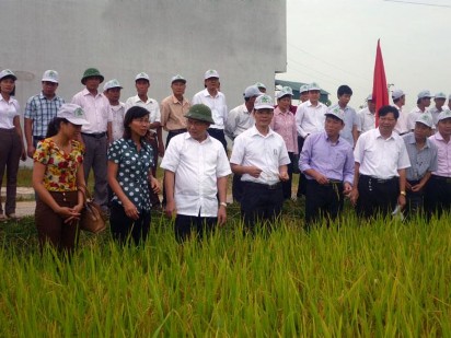 Ảnh 3 Phó Chủ tịch UBND tỉnh Phú Thọ Hoàng Công Thủy thăm quan mô hình cánh 3