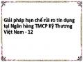 Giải pháp hạn chế rủi ro tín dụng tại Ngân hàng TMCP Kỹ Thương Việt Nam - 12