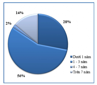 Hình 2 5 Cơ cấu lao động theo thâm niên Báo cáo cuộc họp Hội đồng thành viên 2