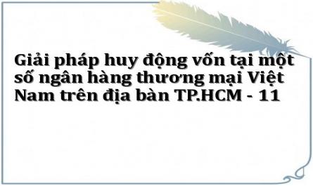 Giải pháp huy động vốn tại một số ngân hàng thương mại Việt Nam trên địa bàn TP.HCM - 11