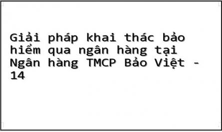 Giải pháp khai thác bảo hiểm qua ngân hàng tại Ngân hàng TMCP Bảo Việt - 14