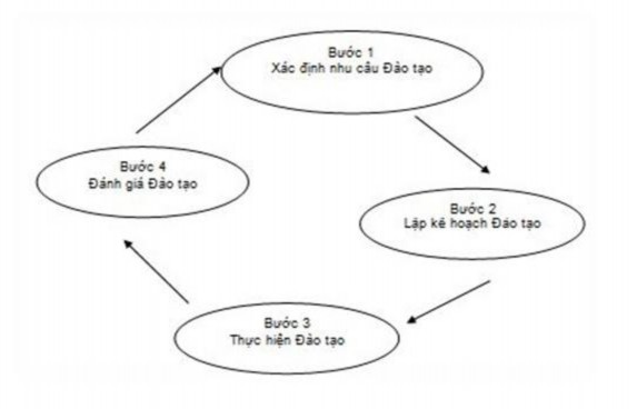Mục tiêu đào tạo là cơ sở để định hướng các nổ lực đào tạo xác 1