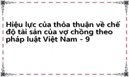 Hiệu lực của thỏa thuận về chế độ tài sản của vợ chồng theo pháp luật Việt Nam - 9