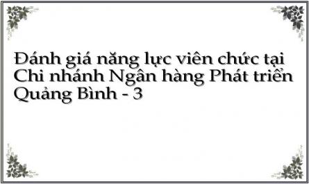 Đánh giá năng lực viên chức tại Chi nhánh Ngân hàng Phát triển Quảng Bình - 3