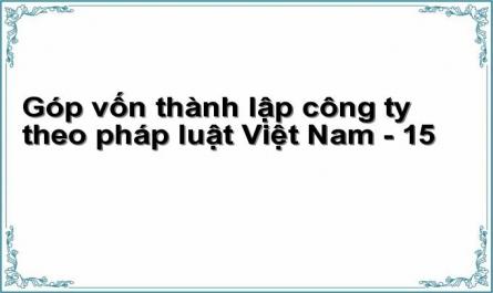 Góp vốn thành lập công ty theo pháp luật Việt Nam - 15