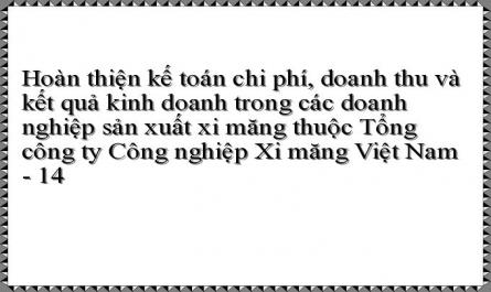 Thực Trạng Kế Toán Cp, Dt Và Kqkd Trong Các Dnsx Xi Măng Thuộc Tct Công Nghiệp Xi Măng Việt Nam