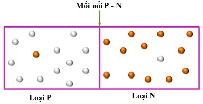 Hình 3 7 Các hạt mang điện tại mối nối P N 3 1 5 Phân cực thuận tiếp điểm P 6