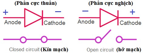 Hình 3 14 Sơ đồ tương đương của Diode Tuy nhiên một dòng ngược nhỏ thực sự 2