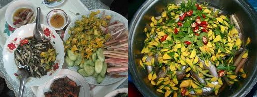 Cá linh và bông điên điển Ẩm thực mùa nước nổi rừng U Minh Thượng Hồ Hoa 3
