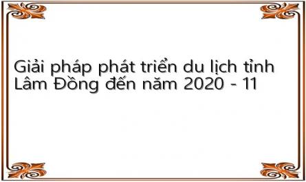 Giải pháp phát triển du lịch tỉnh Lâm Đồng đến năm 2020 - 11