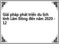 Giải pháp phát triển du lịch tỉnh Lâm Đồng đến năm 2020 - 12