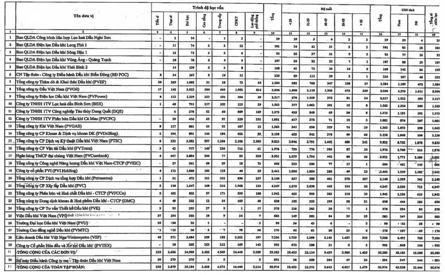 Lục 18 HIỆN TRẠNG NHÂN LỰC CỦA TẬP ĐOÀN DẦU KHÍ QUỐC GIA VIỆT NAM – 2015 1