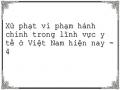 Thẩm Quyền Xử Phạt Vi Phạm Hành Chính Trong Lĩnh Vực Y Tế