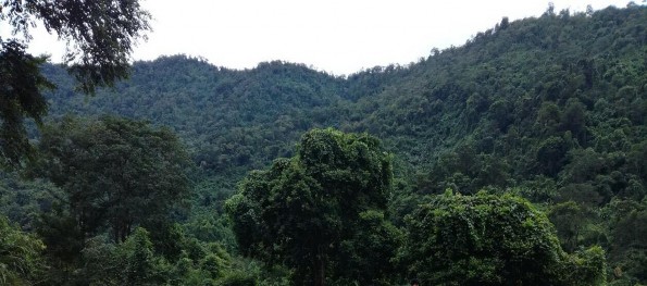 Rừng tại Định Hóa Thái Nguyên Nguồn Lê Thị Ngân Phụ lục 2 Bảng 1 Diện tích 3