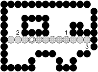 Hình 2 8 Tô màu theo đường biên Có 2 quan điểm về cách tô này Đó là dùng 4 1