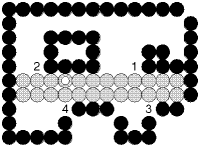 Hình 2 10 Tô theo từng dòng 2 4 Tổng kết chương 2 Sinh viên cần hiểu được khái 3