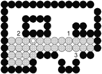 Hình 2 10 Tô theo từng dòng 2 4 Tổng kết chương 2 Sinh viên cần hiểu được khái 5