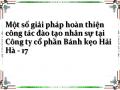 Một số giải pháp hoàn thiện công tác đào tạo nhân sự tại Công ty cổ phần Bánh kẹo Hải Hà - 17