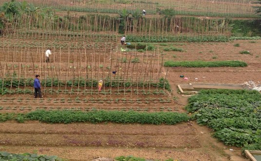 Hình 06 Góc vườn của một hộ dân Photo Tác giả ngày 18 3 2015 Hình 07 Trạm y tế 6