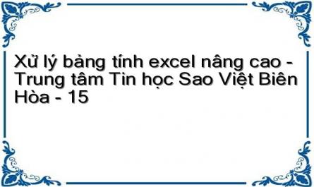 Xử lý bảng tính excel nâng cao - Trung tâm Tin học Sao Việt Biên Hòa - 15