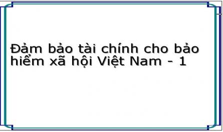 Đảm bảo tài chính cho bảo hiểm xã hội Việt Nam - 1