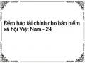 Đảm bảo tài chính cho bảo hiểm xã hội Việt Nam - 24