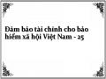Đảm bảo tài chính cho bảo hiểm xã hội Việt Nam - 25
