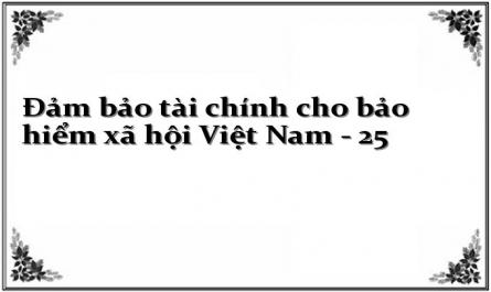 Đảm bảo tài chính cho bảo hiểm xã hội Việt Nam - 25