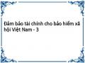 Những Vấn Đề Cần Tiếp Tục Nghiên Cứu Về Đảm Bảo Tài Chính Cho Bảo Hiểm Xã Hội.