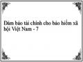 Đảm bảo tài chính cho bảo hiểm xã hội Việt Nam - 7
