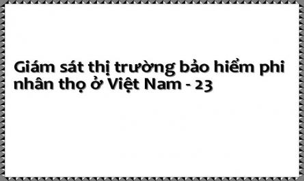 Giám sát thị trường bảo hiểm phi nhân thọ ở Việt Nam - 23