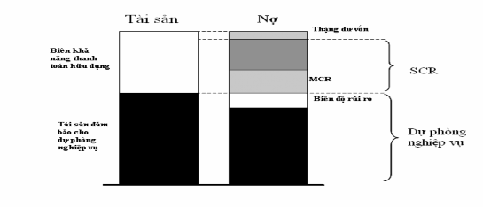Biểu đồ 1 1 Biên khả năng thanh toán II Nguồn Công ty Môi giới bảo hiểm Aon 1
