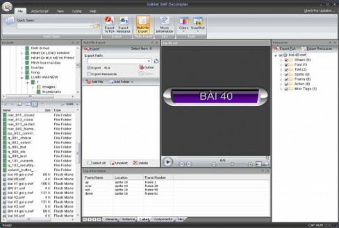 Hình 1 18 Cửa sổ làm việc của Sothink Swf Decomplier 1 4 5 10 Math Type 5 0 Đây là 11