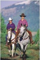 Chỉnh màu sắc của ảnh Chọn ảnh bằng Pick tool nhấp Effects Adjust Contrast 30