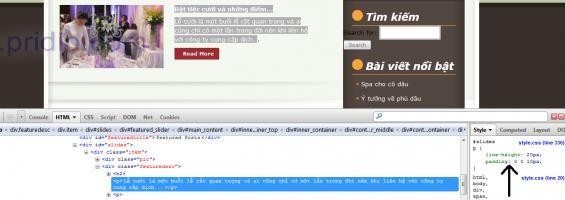 Đặt được lưu v o file style css Bước 13 Kiểm tra lại thay đổi trên trang web 24