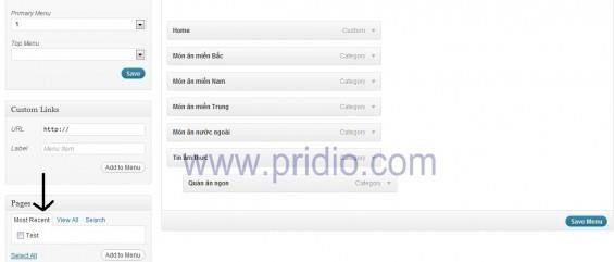 Tích vào Page Test và Chọn Add to Menu chọn tiếp Save Menu để thiết đặt được 11
